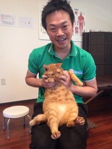 ねこひげ整体院2